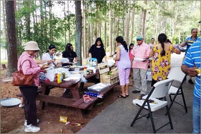Picnic - 10 June